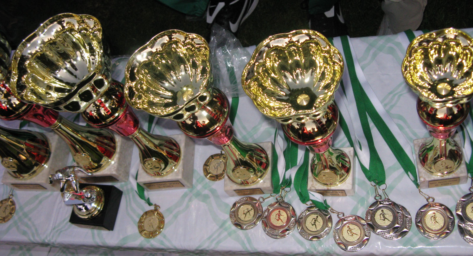 igbo cultural society austria 2010 sports festival